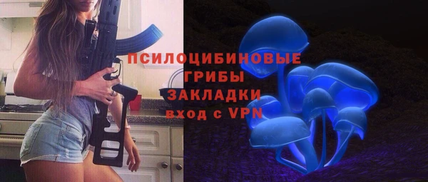 стаф Алексин