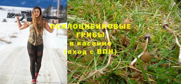 стаф Алексин