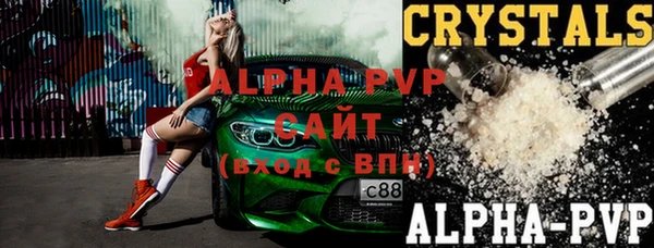стаф Алексин