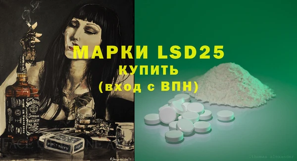 стаф Алексин