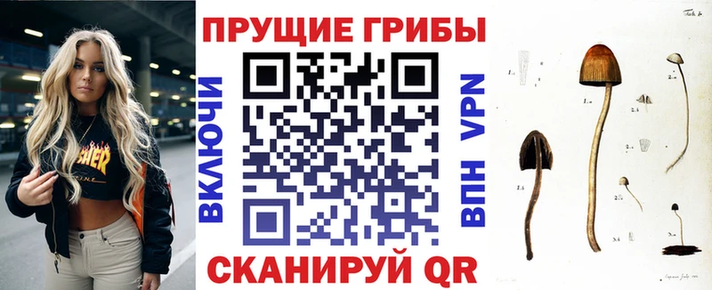 Псилоцибиновые грибы GOLDEN TEACHER  Купить  Алушта 